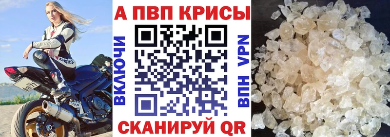 Альфа ПВП СК Каспийск