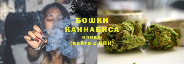 твердый Михайлов