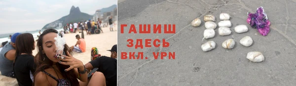 твердый Михайлов