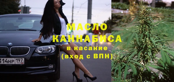 твердый Михайлов