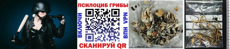 Галлюциногенные грибы Psilocybe  кракен   Каспийск  даркнет сайт 