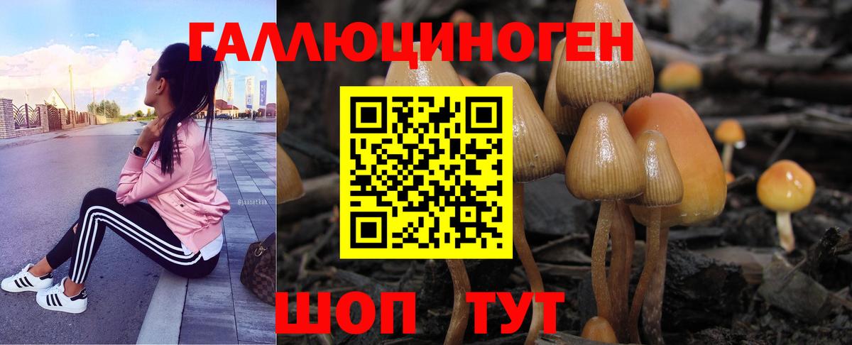 Псилоцибиновые грибы мухоморы Каспийск